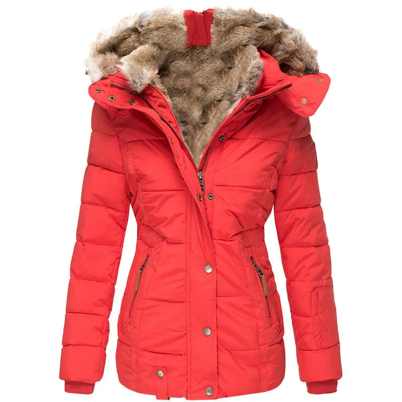 Women’s Quilted Jacket with Hood and Faux Trim Detailing